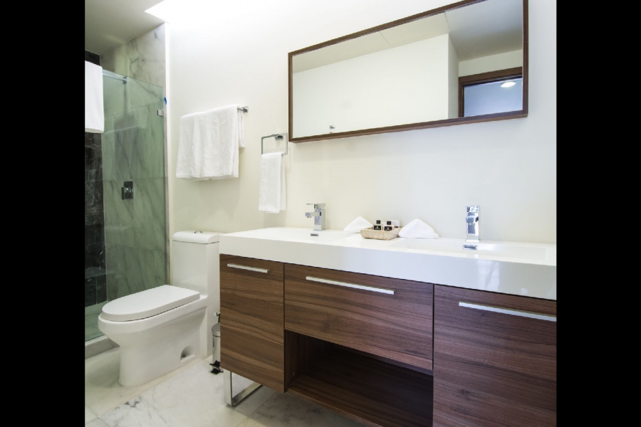 One Bedroom w/ Terrace