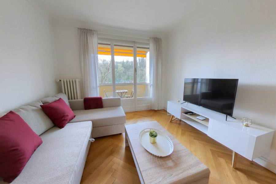 Quai des Arenieres | One Bedroom