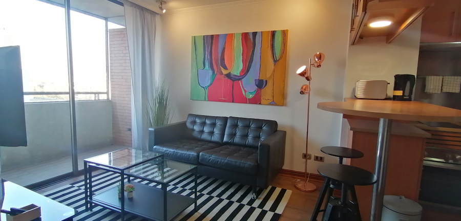 El Pintor | One Bedroom