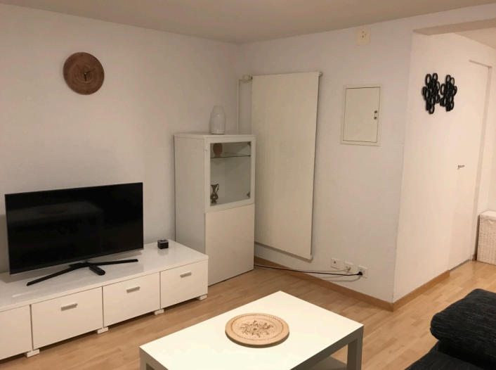 Riedmattweg Apartment