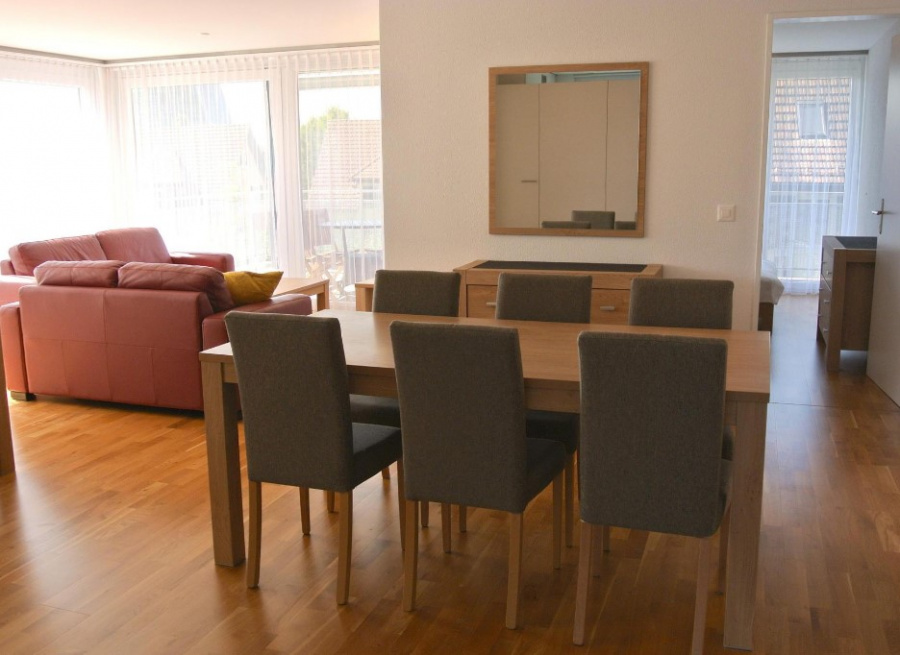 Modern and Large Fully Furnished Apt in the Heart of Zug | Three Bedroom