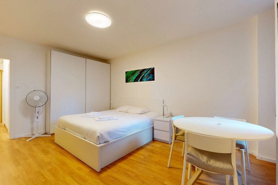 Modern Apartment in the Heart of Geneva | Studio