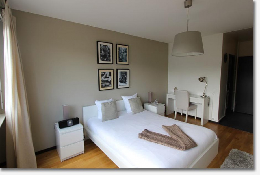 Furnished Deluxe Studio La Cluse in Geneva Plainpalais