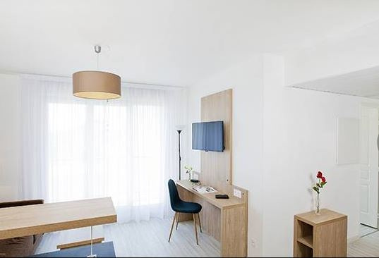 One Bedroom Apartment - Lyon Gerland