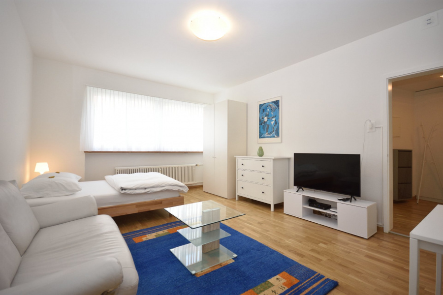 1 Room Flat - Zurich | Studio